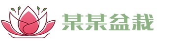 开云（中国）Kaiyun·官方网站 - 登录入口